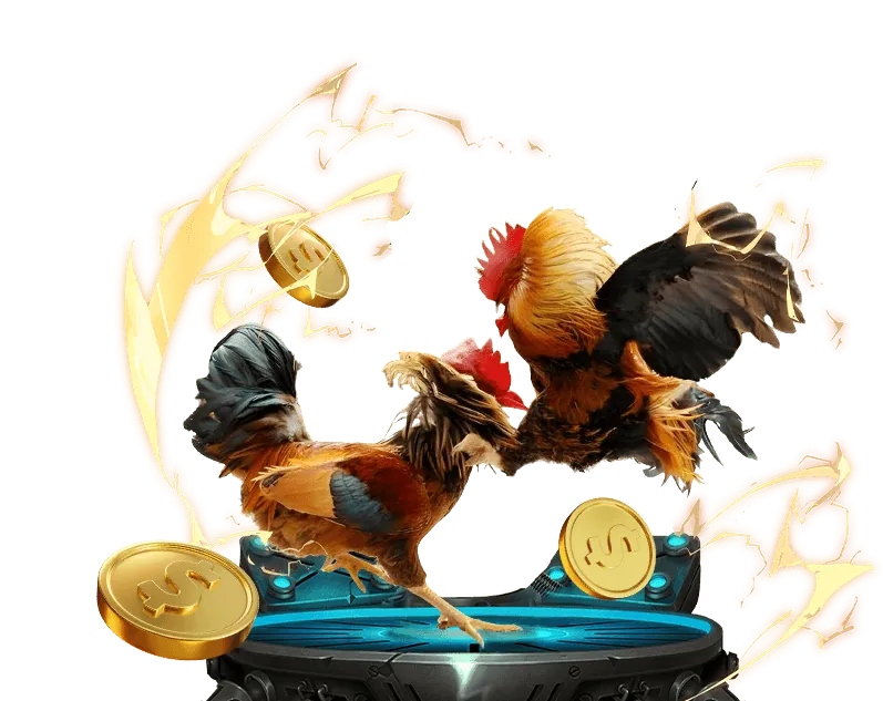 Quy trình đăng nhập bz66 an toàn